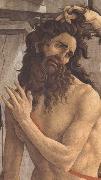 Sandro Botticelli Pallas and the Centaur Spain oil painting artist